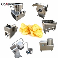 Friteuse à chips de patates douces semi-automatique CoApex au design compact, 30-80 kg/h, tension et dimensions personnalisables, faible coût, pour fruits