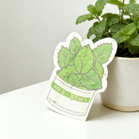 Carte en papier semable de forme spéciale, carte de vœux et carte postale, papier spécial fait main, étiquette cadeau personnalisable