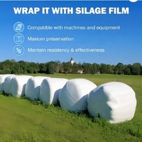 Film d'ensilage film d'emballage de balle lldpe rouleau rond pellicule plastique pour balles de foin carrées rondes