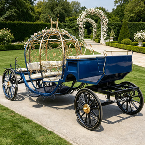 ZOWN Carrosse à citrouilles blanc sans chevaux pour excursions panoramiques et transport touristique - Product Image 1