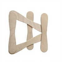 Bâtonnets et cuillères à glace faits maison, biodégradables, en bois de bouleau blanc, flexibles, portables, de haute qualité et économiques
