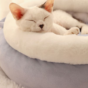 Lit rond pour chat, panier de couchage Super doux, pour dormir, petit tapis, de maison, accessoires pour produits des animaux de compagnie, en solde, hiver - Product Image 2