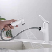 Robinet de lavabo de salle de bain Usine Mitigeur Froid Chaud Mélangeur Alliage Pull out Bassin Robinets Évier