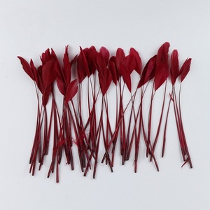 Plumas <span class=keywords><strong>de</strong></span> pájaro teñidas al por mayor para decoración <span class=keywords><strong>de</strong></span> sombreros y sombreros <span class=keywords><strong>de</strong></span> suministros <span class=keywords><strong>de</strong></span> arte y artesanía - Product Image 2