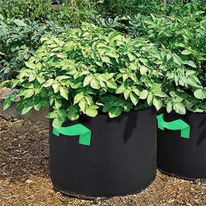 Bolsas de Cultivo de Patatas de 5 Galones a Precio Económico, Macetas de Tela para Jardín e Invernadero - Product Image 4