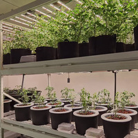 Système hydroponique NFT avec pompe et arrosage automatiques, conteneur de culture pour la culture de légumes à haute production