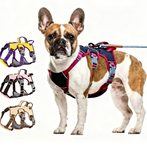 Arnés Cómodo para Perro con Diseño Sólido, Chaleco Antiescape para Mascotas y Múltiples Opciones de Color, Correa y Arnés para Perro - Product Image 1