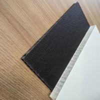 Panneau composite résistant aux intempéries, panneau à âme en nid d'abeille en PP pour matériau de panneau de carrosserie de camion