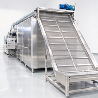 Industriële continue gaasbanddroger 10 ton per dag automatische fruit- en groentedroger voor boerderijen en voedselverwerkingsbedrijven