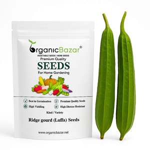 Paquete de 20 <span class=keywords><strong>Semillas</strong></span> de <span class=keywords><strong>Luffa</strong></span> al por Mayor con Bolsa Personalizada para Venta al por Menor, Paquete de <span class=keywords><strong>Semillas</strong></span> de Vegetales para Jardinería - Product Image 1