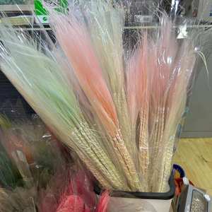 PPL41 Long Stipa 2024 Préservé Pierre Herbe En Gros De Mariage Décoration Fleur Matériel Objets Décoratifs Préservé Fleur - Product Image 4