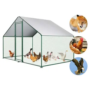 Frame Chicken Run Walk in Chicken Coop Animal Cages Prefab Farmhouse Steel Modern Carton Packing Rabbit Provided 24 10 Days