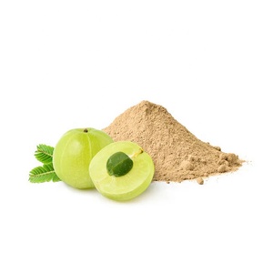 Faituri Organic <span class=keywords><strong>Amla</strong></span> <span class=keywords><strong>Berry</strong></span> <span class=keywords><strong>Powder</strong></span> Herbal Extract Fruit <span class=keywords><strong>Powder</strong></span> para Cabelo Atacado Soursop Fruit <span class=keywords><strong>Powder</strong></span> em Garrafa Drum Embalagem - Product Image 2