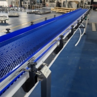 Chaîne à lames en acier inoxydable pour convoyeur de bouteilles d'eau, avec produit stable pour le remplissage de bouteilles PET, opérations de ligne d'emballage