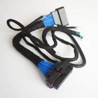 Kabel Kontrol Perakitan Kabel Harness Mobil Elektronik Shanyou yang Dapat Disesuaikan, Adaptor Konduktor Aluminium, Isolasi Nilon, 100mm, 12V