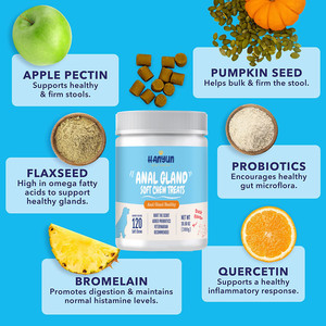 Pastillas para masticar con calabaza para perros, suplemento de fibra de probiotica para perros, con probióticos, de glándula Anal, muestra gratis - Product Image 3