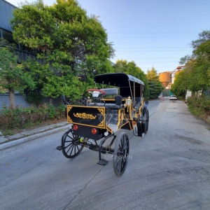Carroza de Caballos Estilo Boda para Recorridos Turísticos en Parques, Carro Retro con Ruedas para Transporte Especial en Venta - Product Image 5