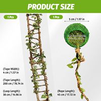 Habitat magnétique en maille pour araignées sauteuses avec corde d'escalade et échelle en bois cachette, accessoires pour terrarium de tarantules