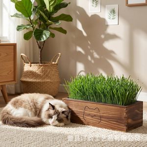 Cross-border wooden cat grass potted planter with mesh cover, coconut coir-grown cat grass <b>pot</b>, pet green <b>plant</b> ornament. - Product Image 3