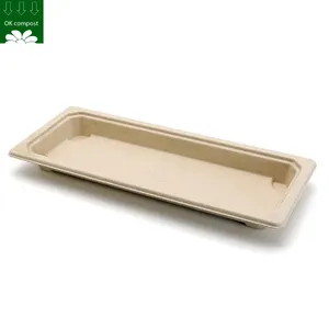 Custom Service Sugarcane Bagasse Pulp Compostable Disposable Rectangle Long Food Plates