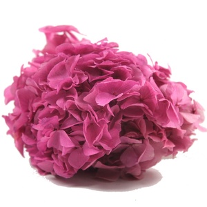 Vente en gros de fleurs et de plantes conservées à grands pétales real touch <span class=keywords><strong>anna</strong></span> hortensia à grandes feuilles - Product Image 5