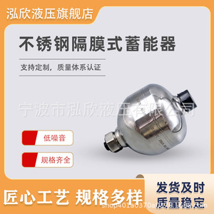 Acumulador de Diafragma Hongxin de 0.075L, Amortiguador Hidráulico de Acero Inoxidable 316 - Product Image 3