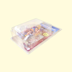 Boîtes d'emballage écologiques en PVC PET transparent grand Motu jouets affichage luxueux Durable Guangdong DZ20 KEYMY - Product Image 3