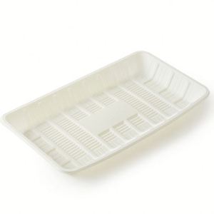 Plato de Cena Ecológico, Resistente, Desechable, Biodegradable y Compostable, Hecho de Almidón de Maíz, para Camping, 20.3x20.3cm - Product Image 1