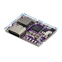 Type-C USB 5V 3.1A Boost Converter Module d'alimentation élévateur IP5310 Accessoires de batterie externe mobile avec interrupteur Indicateur LED