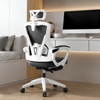 Chaise de bureau ergonomique en maille pour la maison et le bureau, confort durable, réglable en hauteur, accoudoirs inclinables