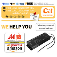 Garantie de batterie au lithium CE de haute qualité 100-300W Led panneau de conversion d'urgence pour kit d'urgence