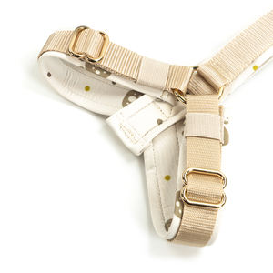 Step In <span class=keywords><strong>Harnais</strong></span> Y Forme Chien <span class=keywords><strong>Harnais</strong></span> <span class=keywords><strong>Collier</strong></span> Et Laisse Ensemble <span class=keywords><strong>Harnais</strong></span> De Luxe Chien <span class=keywords><strong>Chiot</strong></span> <span class=keywords><strong>Collier</strong></span> Chiens Fournitures - Product Image 3