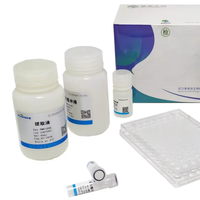 2X SYBR Green QPCR Master Mix, Hot Start Taq Polymerase, comprend un colorant ROX