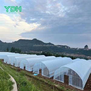 Grande petite serre isolée transparente Film plastique double PET PE pour semis de jardin Prix bon marché d'usine pour l'agriculture - Product Image 3