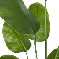 Vente en gros 160cm de cigare artificiel Arrow-root Faux bonsaï vert arbre artificiel pour la décoration intérieure du bureau à domicile