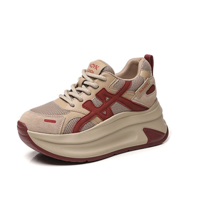 Nuevas llegadas Primavera 2026: Zapatos casuales de mujer con tacón elevado, suela gruesa, estilo retro, transpirables, de malla, tipo Dad Shoes - Product Image 2