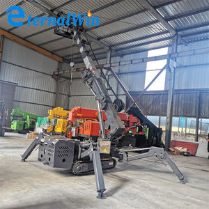 זול מחיר 5 טון מיני פשוט מנוף קטן הרמת הידראולי מכאני Crawler עכביש מנוף למכירה - Product Image 4