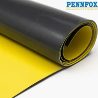 Membrane imperméable en PVC moderne et écologique |   Sous-couche de toiture durable non toxique Garantie de plus de 5 ans Bâtiment écologique PENNROOF