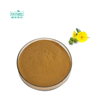 All'ingrosso della fabbrica bulk 40% 90% saponine tribulus terrestris capsule tribulus terrestris estratto in polvere