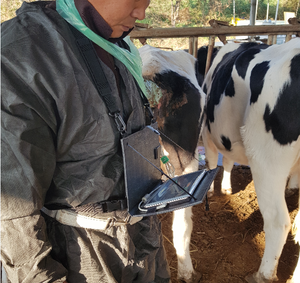 BMV S5 instrumen dokter hewan hitam dan putih USB pemindai Ultrasound Probe tranrektal untuk Bovine dan Equine penggunaan hewan besar - Product Image 5