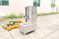 Multifunctionele commerciële fruitenschilmachine, automatische grote meloenenschilmachine voor pompoen, watermeloen, cantaloupe en papaja