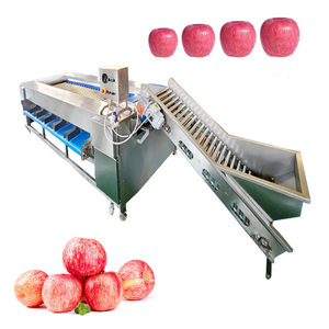 Fournisseur de la Chine Machine de tri d'oignons Machine de classement de fruits avec le meilleur <span class=keywords><strong>prix</strong></span> - Product Image 1