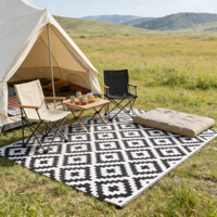 Grand tapis d'extérieur réversible en PP, léger, pour patio, caravane, camping-car, écologique, résistant à la corrosion, anti-bactérien, en PET