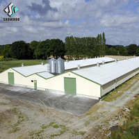 Bâtiment d'élevage avicole en acier à structure automatique contrôlée à faible coût