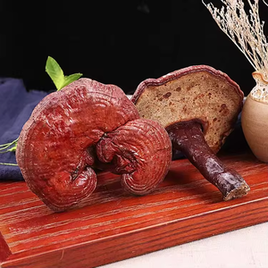 Trung Quốc quý các loại thảo mộc lỏng tư nhân labal Lucid <span class=keywords><strong>Ganoderma</strong></span> khô linh chi Nấm Hoang Dã phát triển tự nhiên thu hoạch - Product Image 4