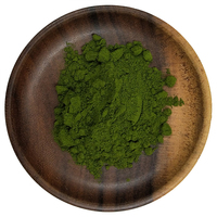 Precio al por mayor 50%-100% polvo de extracto de Alga Natural puro de grado alimenticio Chlorella Vulgaris/polvo de extracto de Chlorella vegetal orgánico