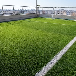 Césped Artificial Deportivo Sintético Resistente al Desgaste, Apto para Mascotas, para Uso en Todo Tipo de Clima, Cancha de Fútbol, Parque Infantil - Product Image 5