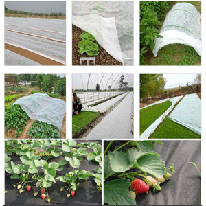 Spunbonded-cubierta de suelo de tela no tejida para agricultura, paño de lana de jardín, cubierta de planta antiescarcha, <span class=keywords><strong>manta</strong></span> antiescarcha - Product Image 6