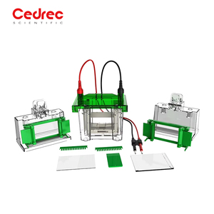 Sistema de Imagenología de Quimioluminiscencia de Alta Calidad, Sistema Automático de Imagenología de Gel para Experimentos de Electroforesis - Product Image 4