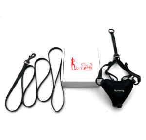 Ontsnappingsbestendige luxe kattenharnas- en riemset met print, lintjes, instapmodel, verstelbare gespsluiting, zacht nylon voor veilig wandelen buitenshuis - Product Image 3